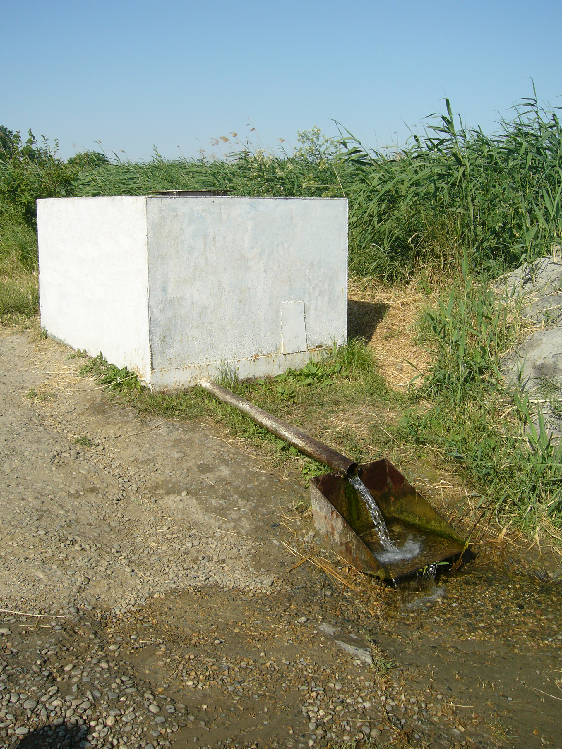 Ziharev rodnik 02